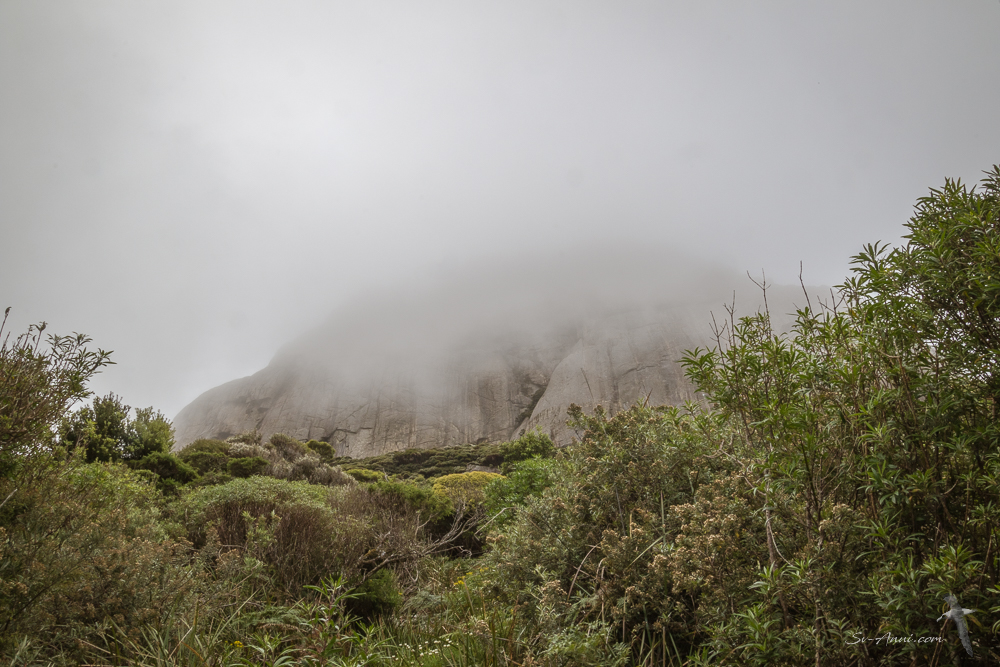 Mt Strzelecki in cloud