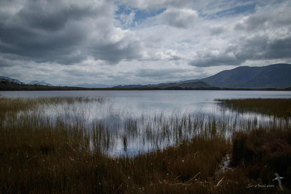Melaleuca Lagoon