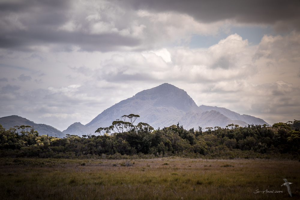 Mount Rugby from Melaleuca