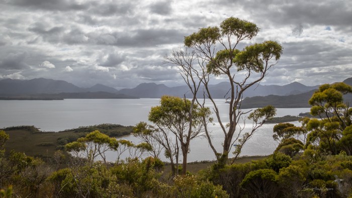 Bathurst Harbour from the Mt Beattie Climb
