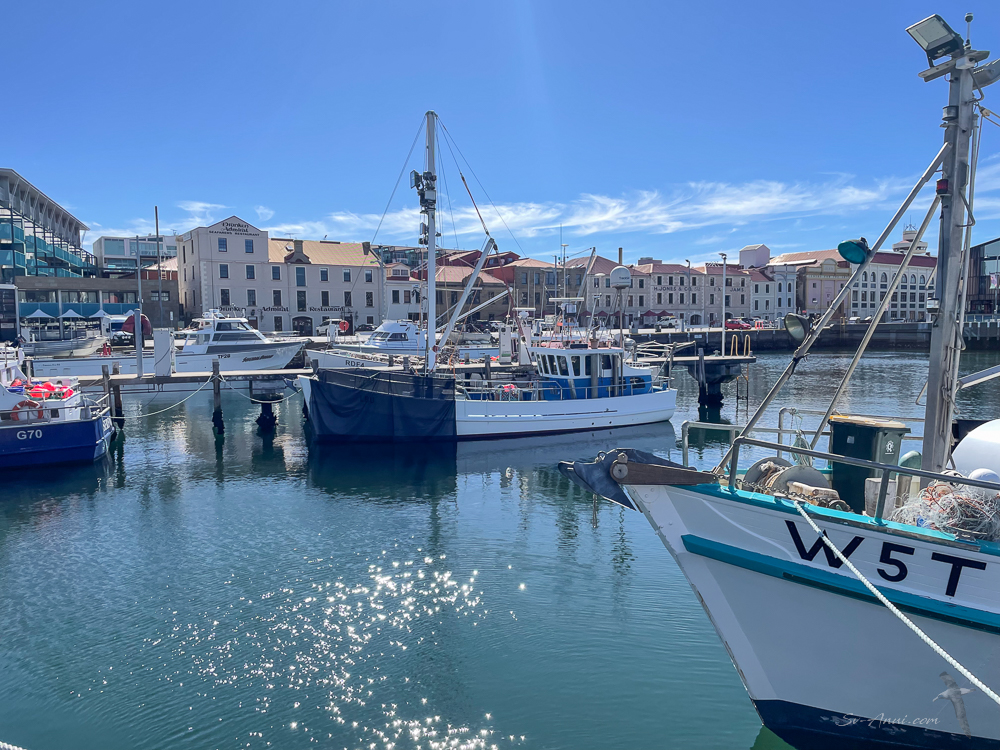 Sullivans Cove - Hobart