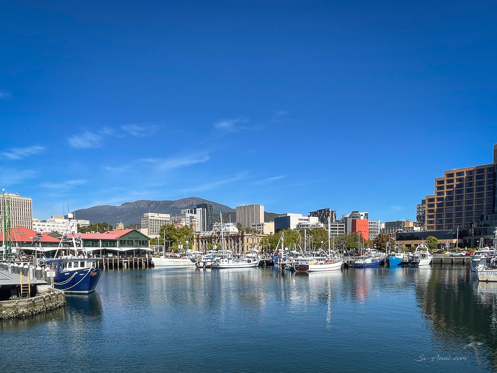 Sullivans Cove - Hobart