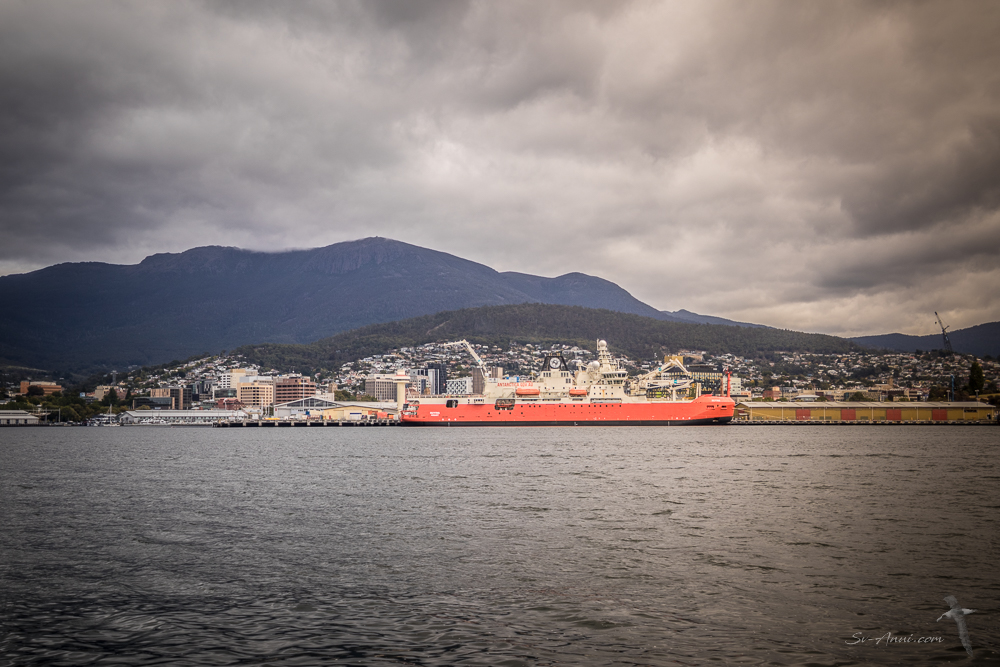 Antarctic Icebreaker RSV Nuriya