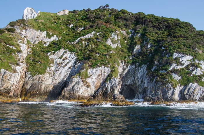 Sea Caves at Breaksea Islands