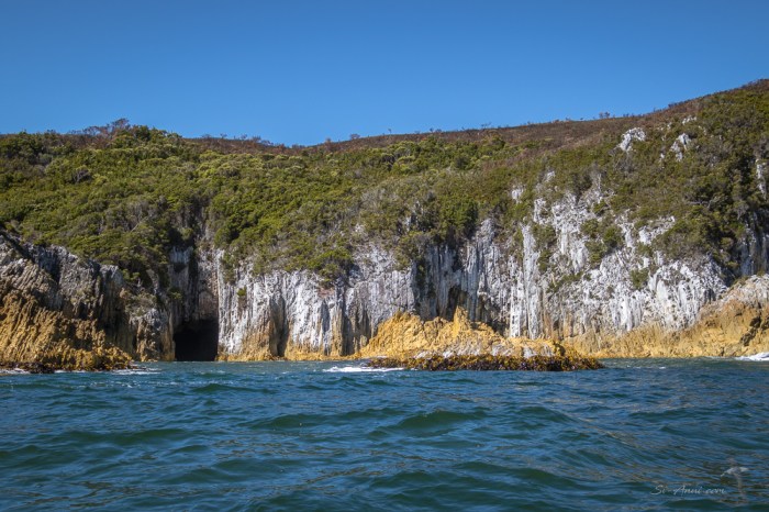 Sea Caves at Coffin Bay