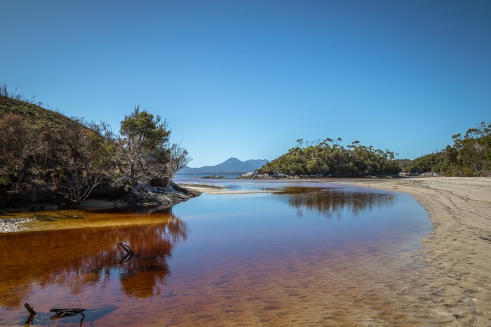 Tannin-stained creek at Coffin Bay