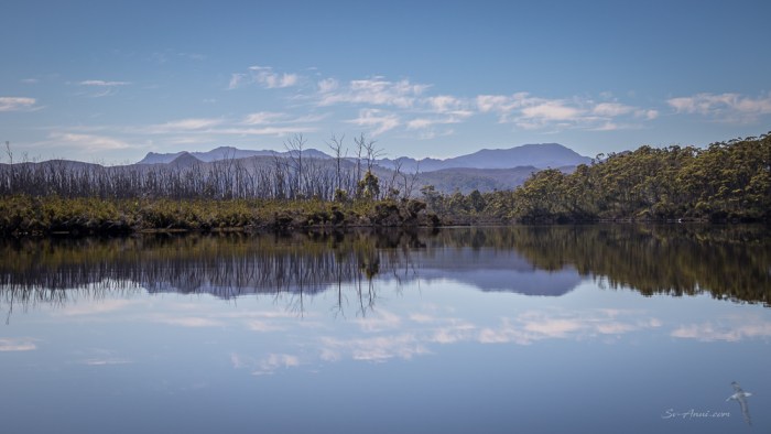 Davey River Reflections