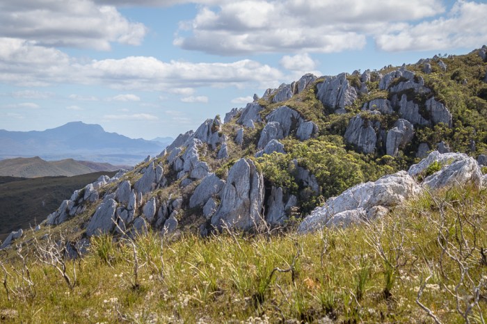 Along the Mt Stokes climb