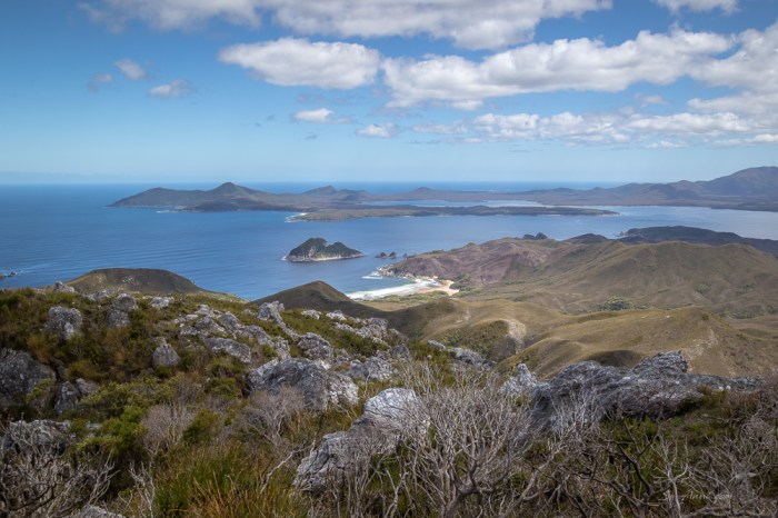Views towards Port Davey from Mt Stokes