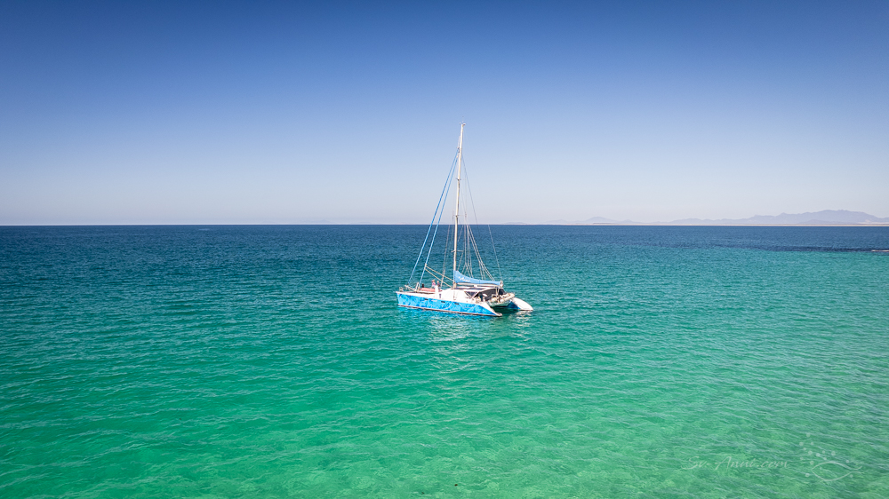 Bull Cove, Babel Island