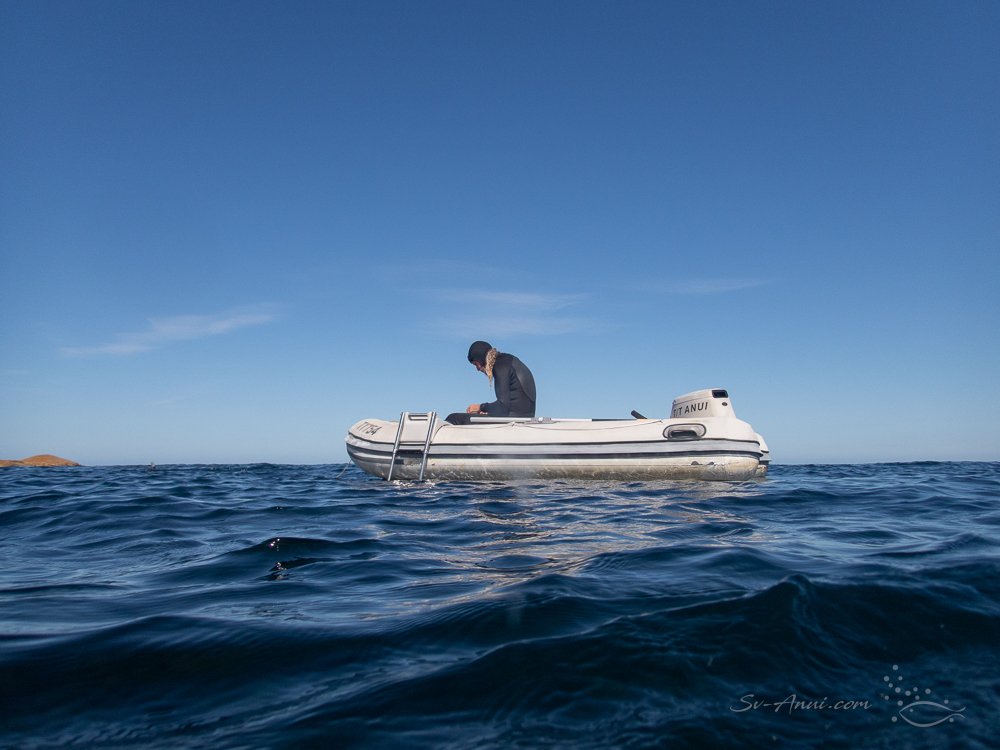 Over/Under at Babel Island