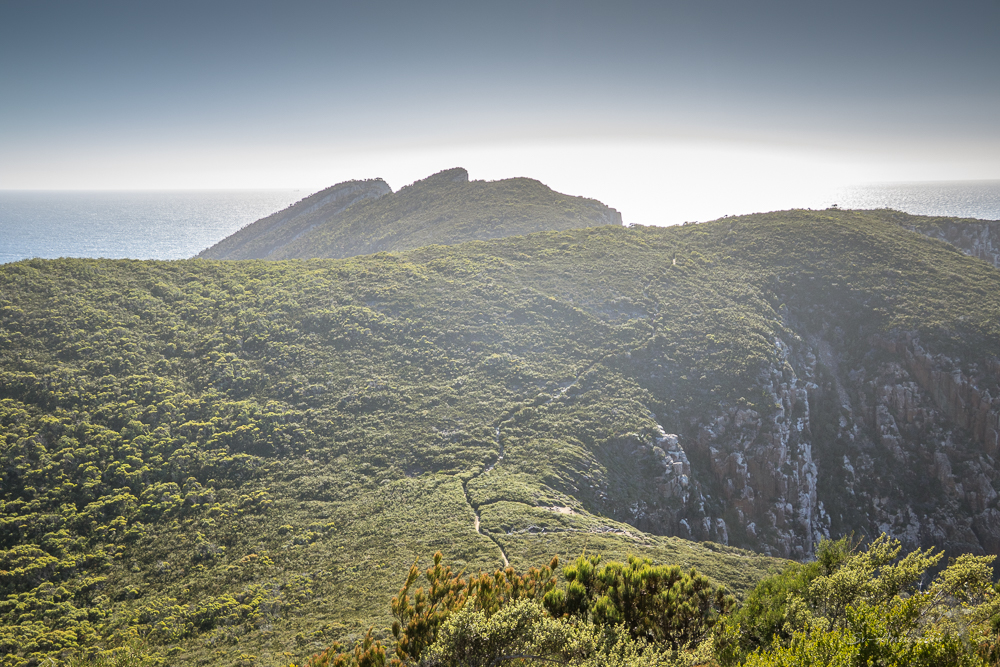 Cape Hauy Track