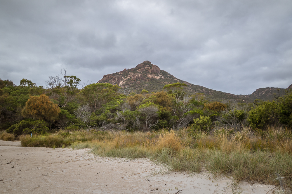 Bear Hill, Schouten Island