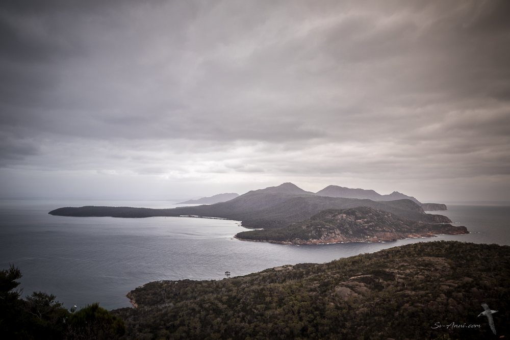 Views from Bear Hill, Schouten Island