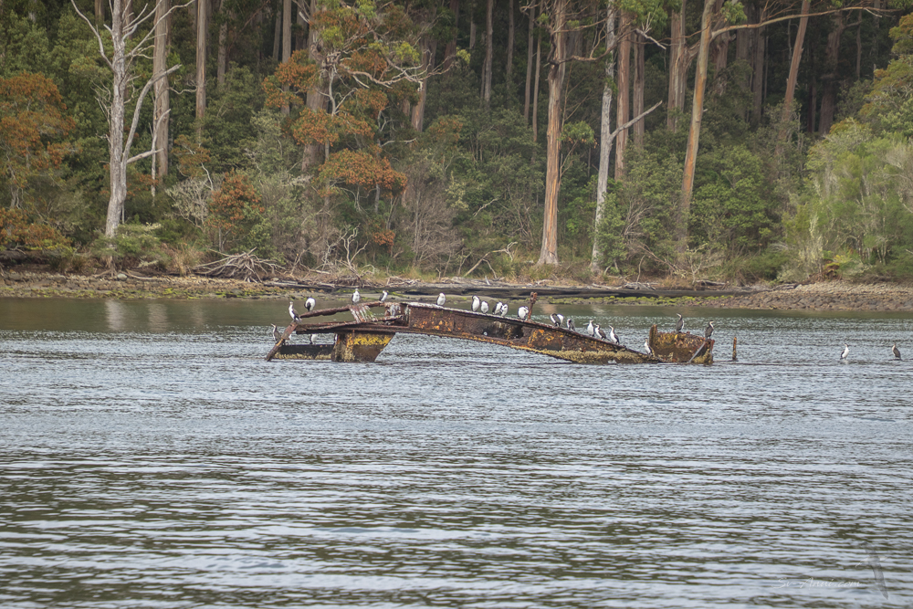 The wreck at Canoe Bay