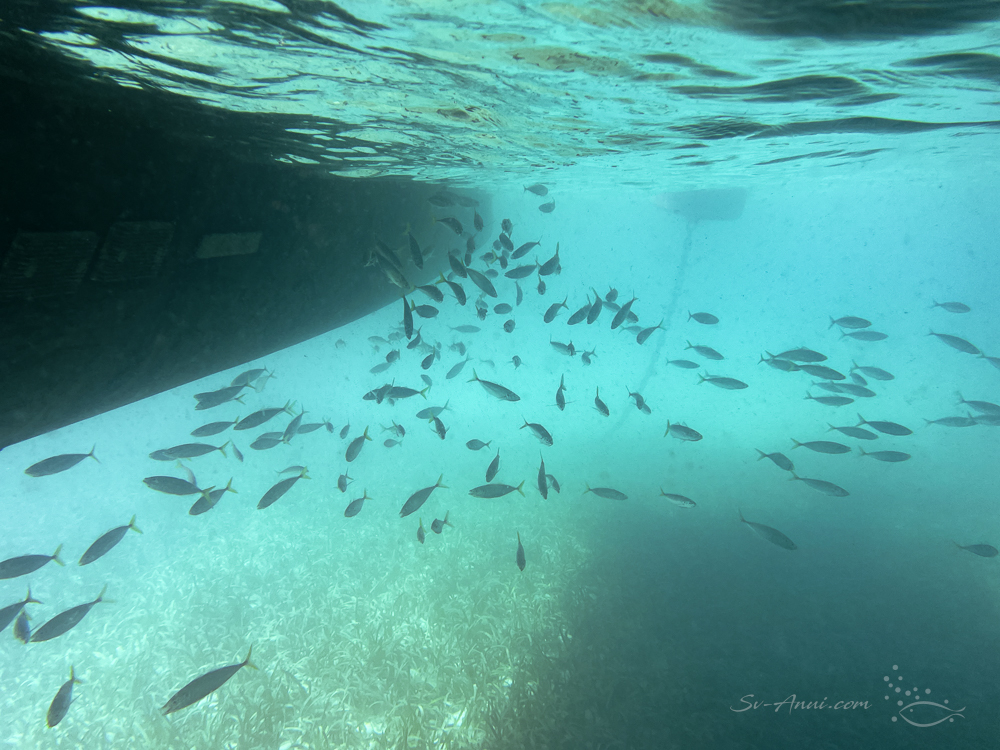 Under the boat at Hole in the Wall