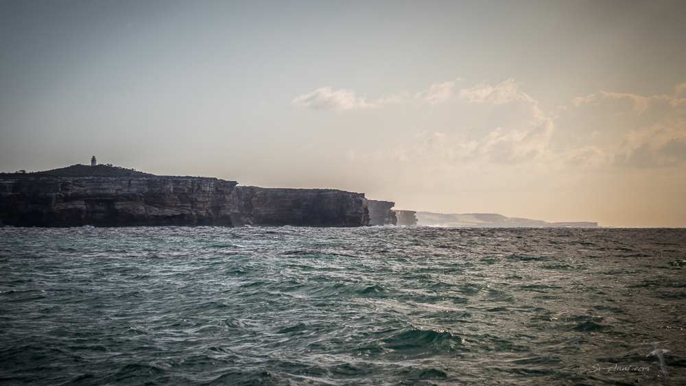 Sydney Cliffs