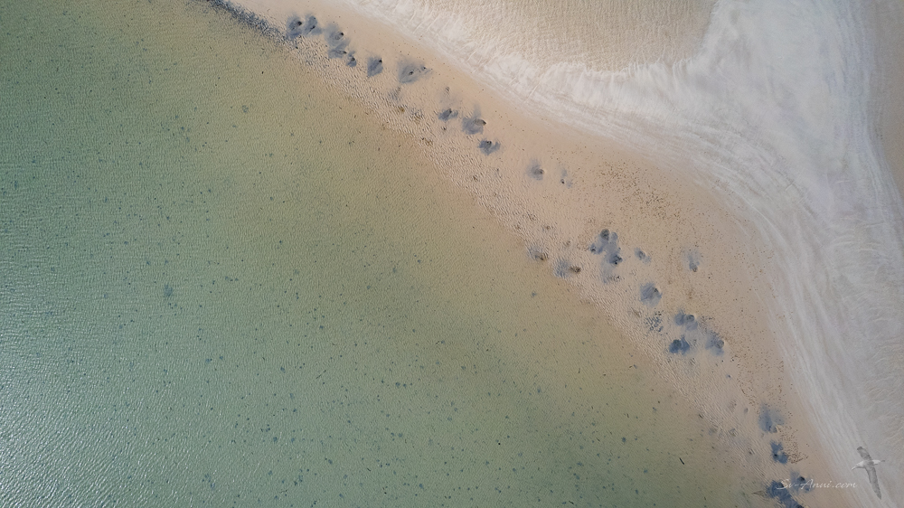 Abstract patterns at Coongul Creek