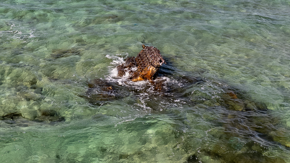 Wreck of Taiwanese fishing boat at Horseshoe Reef