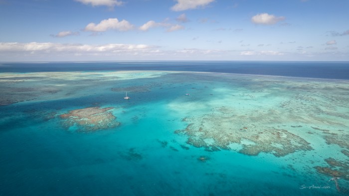 Merv Reef