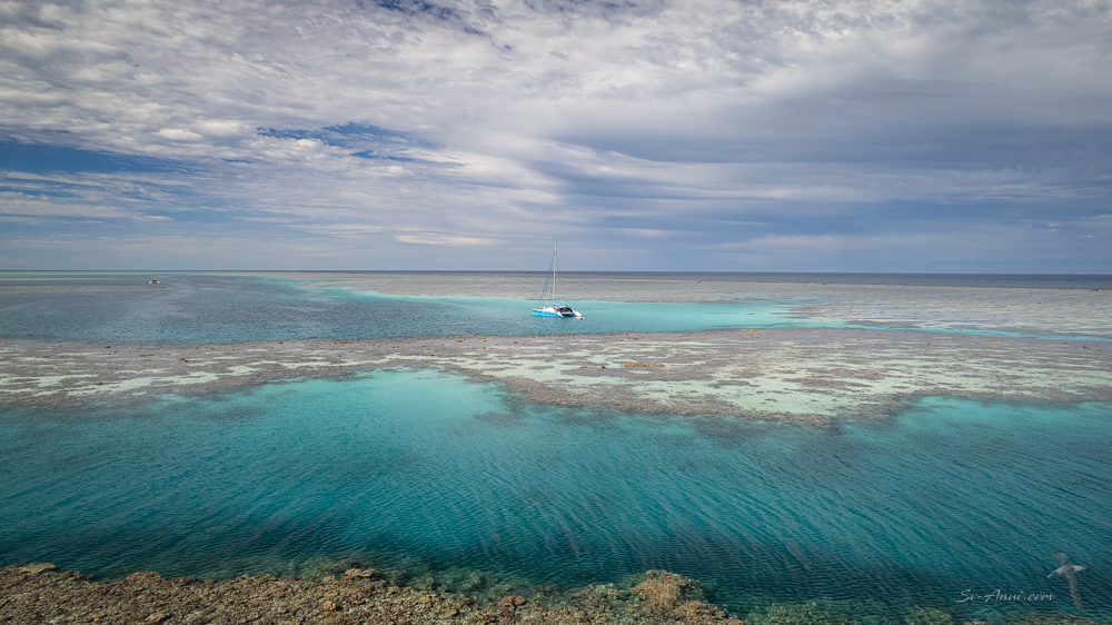 Anui at Surprise Reef
