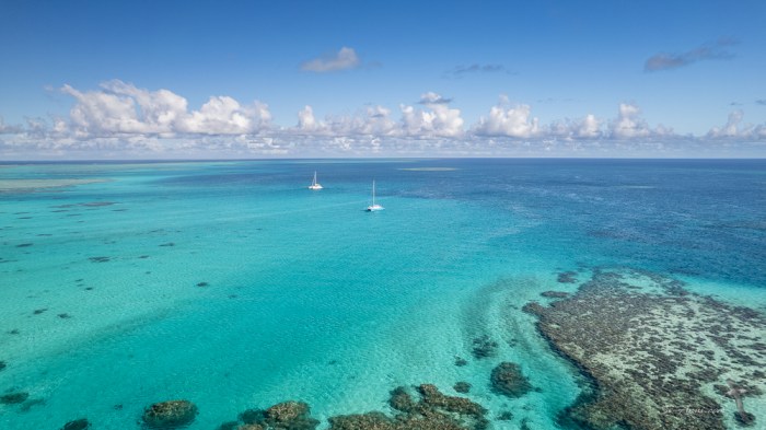 Anui and Thor at Sweetlip Reef
