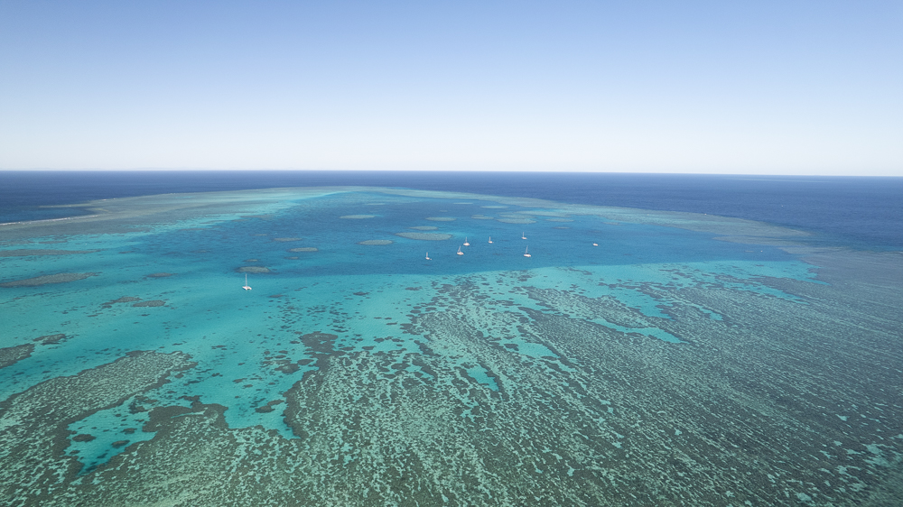 Fitzroy Reef