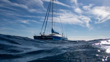 Anui at Lady Elliott