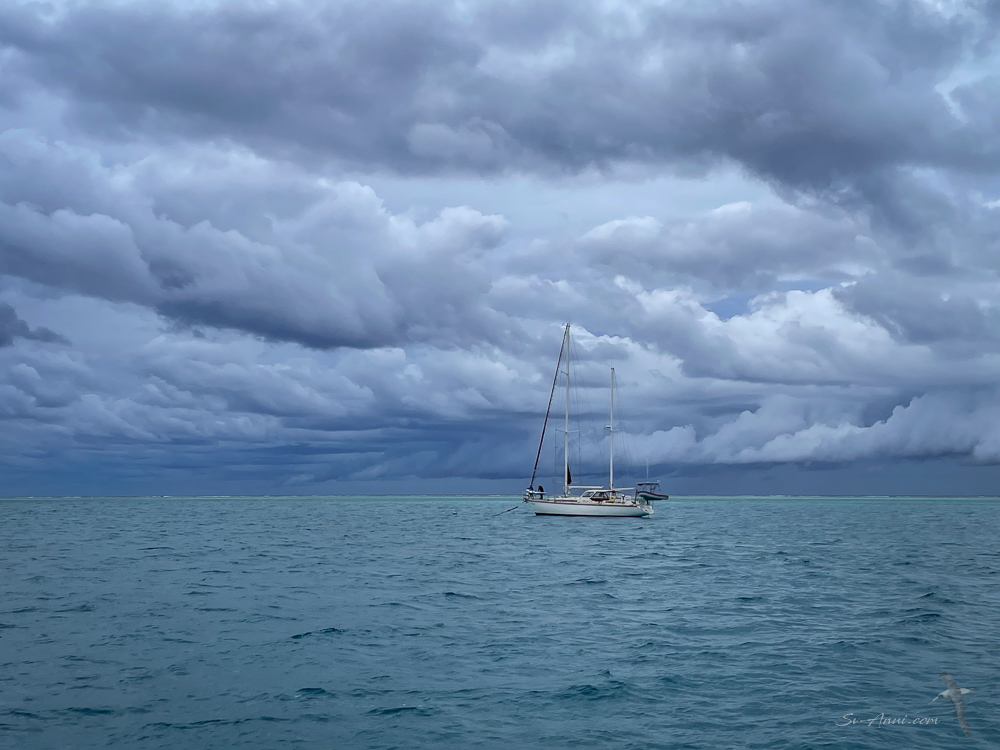 Blowy weather at Lady Musgrave