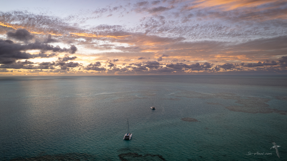Frigate Lagoon, Isobel Bennett