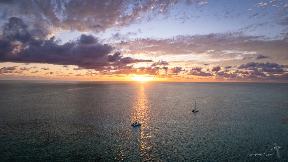 Dawn at Isobel Bennett