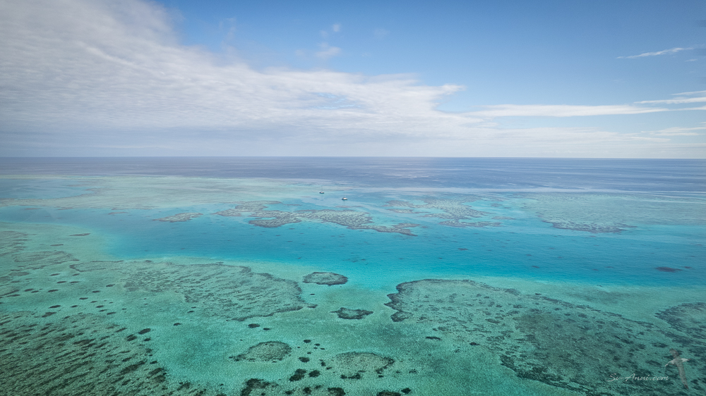 Frigate Lagoon, Isobel Bennett