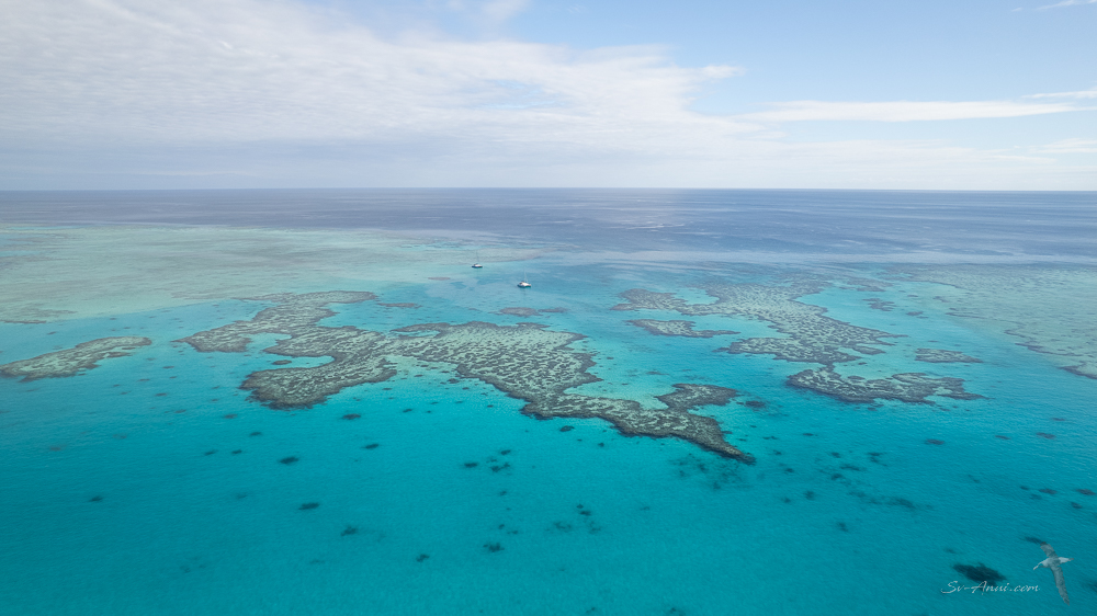 Frigate Lagoon, Isobel Bennett