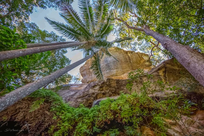 Dripping Rock at Cania Gorge