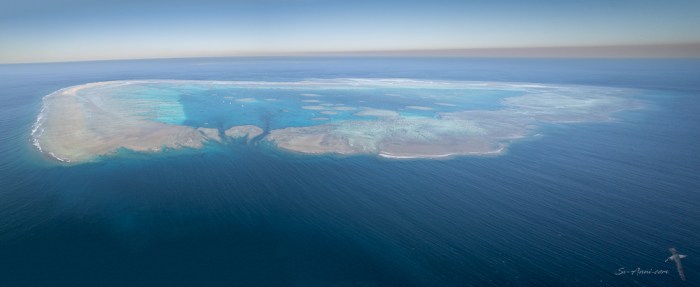 Fitzroy Reef lagoon Panoramic