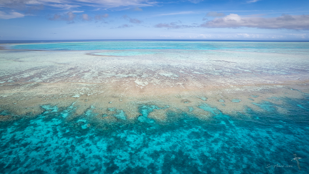 Northern edge of Wistari Reef at low tide