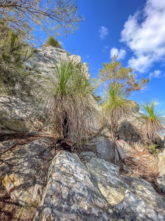 Nearing the top of Mt Larcom