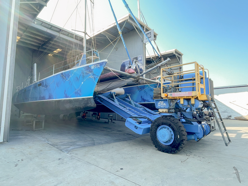 Anui into the shed