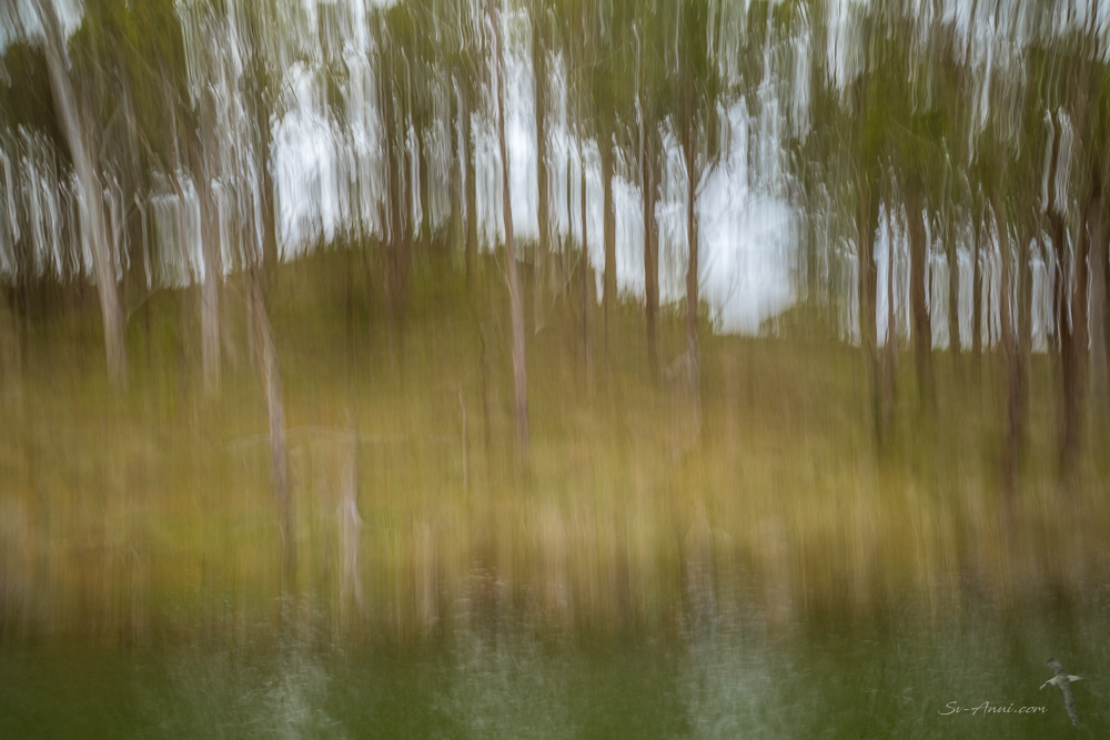 Duck Arm - ICM