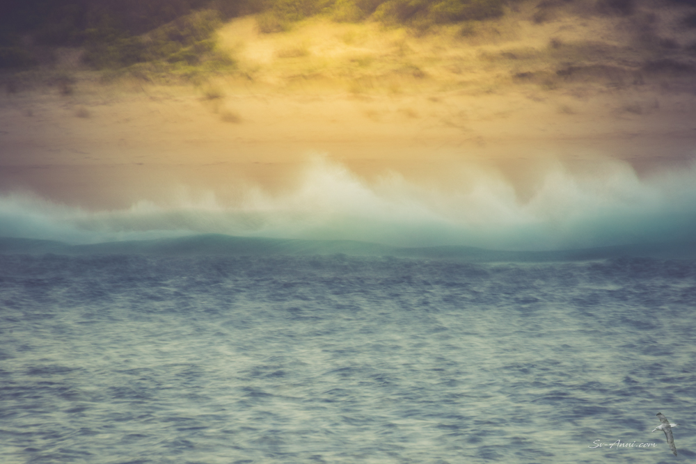 ICM photography, Jervis Bay