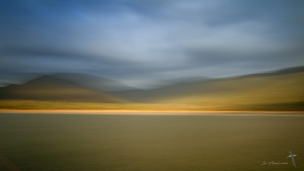 Sealers Cove - ICM