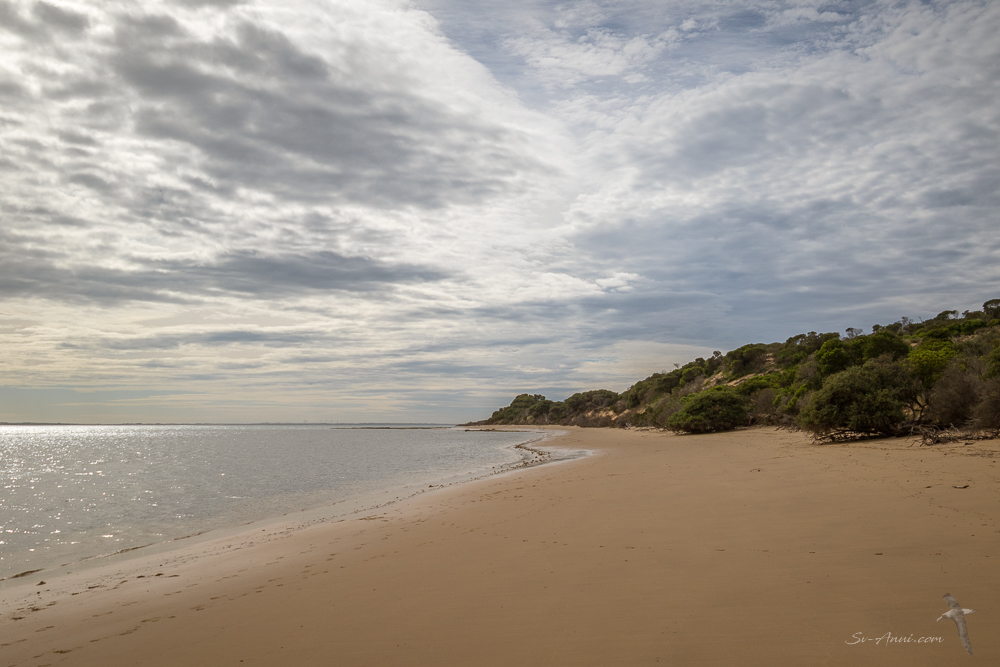 Cleeland Bight beach