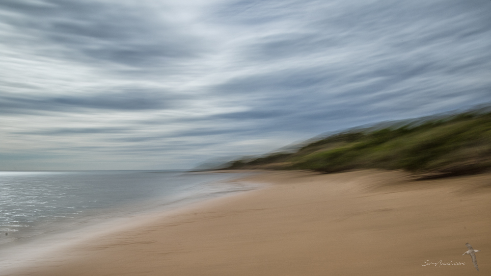 Cleeland Bight moods - ICM