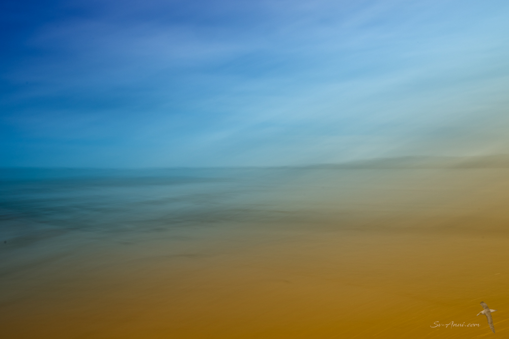 Cleeland Bight stillness - ICM