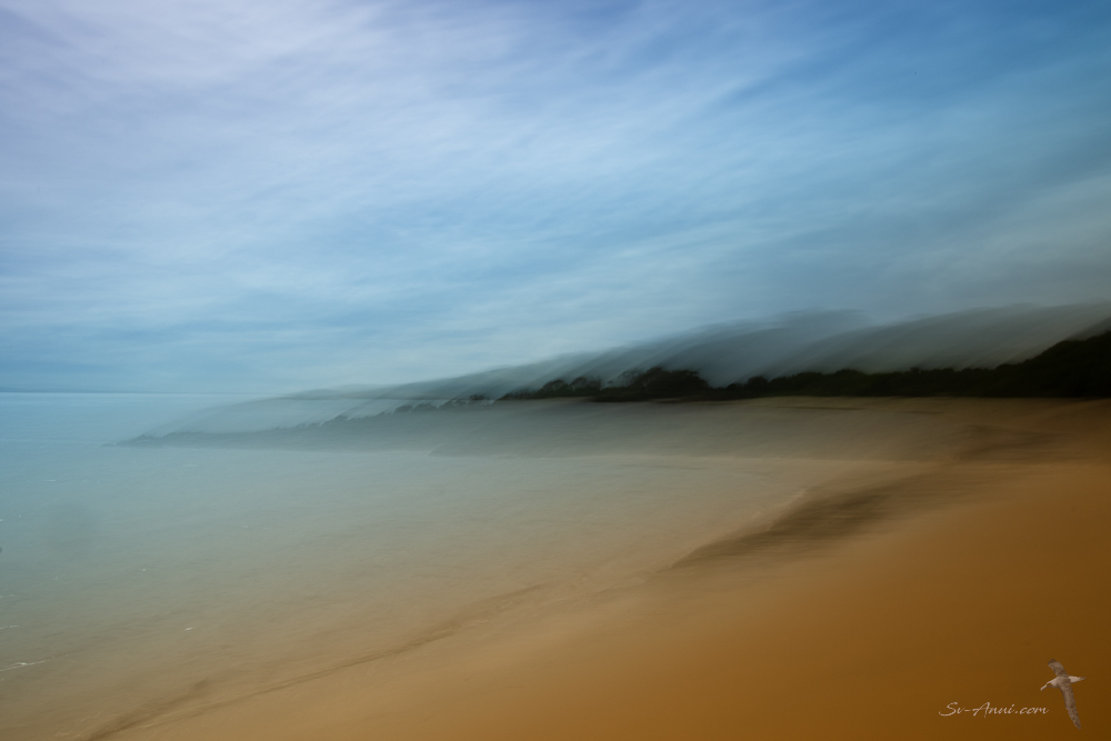 Cleeland Bight ICM