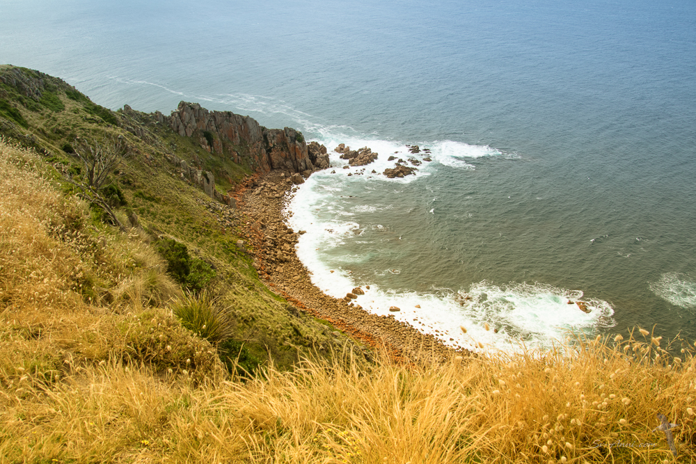 The coast from Woolamai Hill