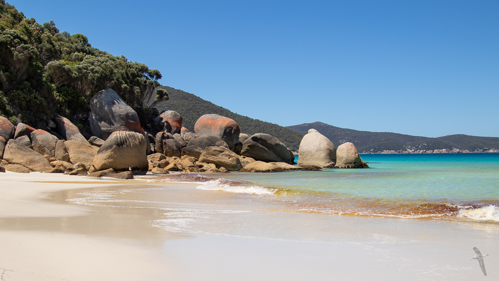 Eastern end of Waterloo Bay