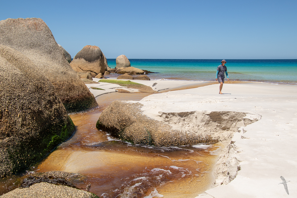 One of the creeks at Waterloo Bay