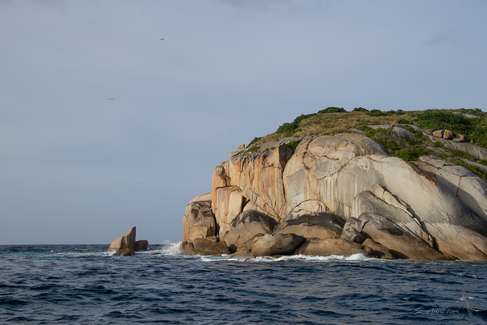 Wattle Island, Wilsons Prom