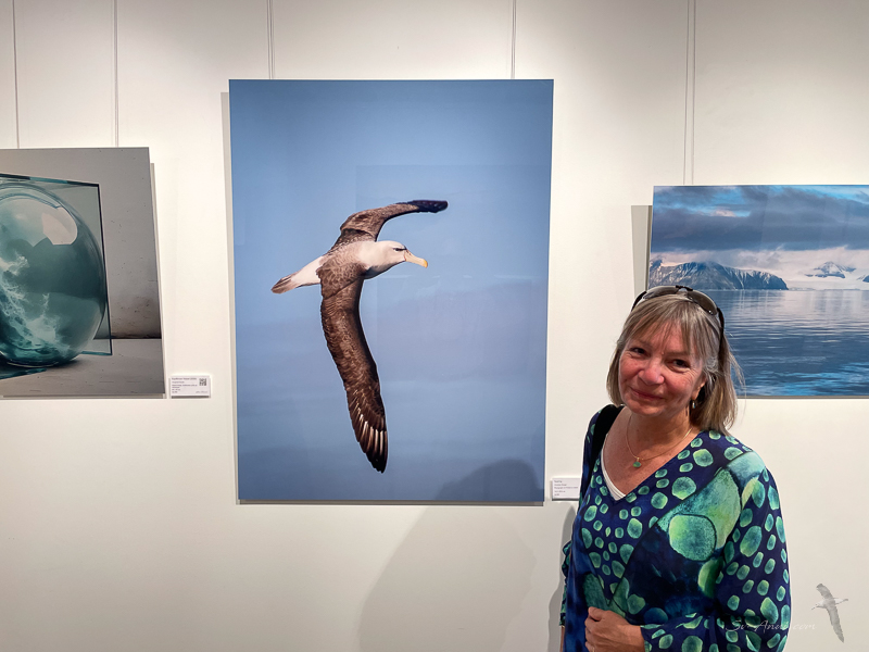 Soaring at Gallery Unbound